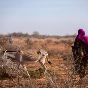 80% من البلدان الأفريقية شهدت نزوح الناس نحو الأنهار أو المناطق الحضرية